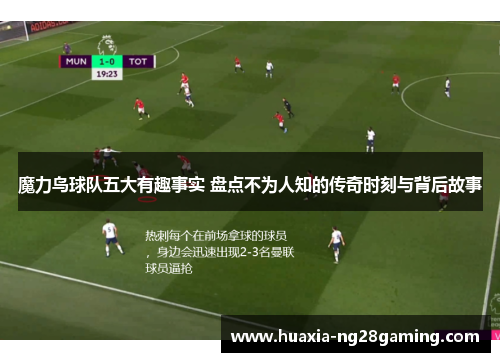 魔力鸟球队五大有趣事实 盘点不为人知的传奇时刻与背后故事